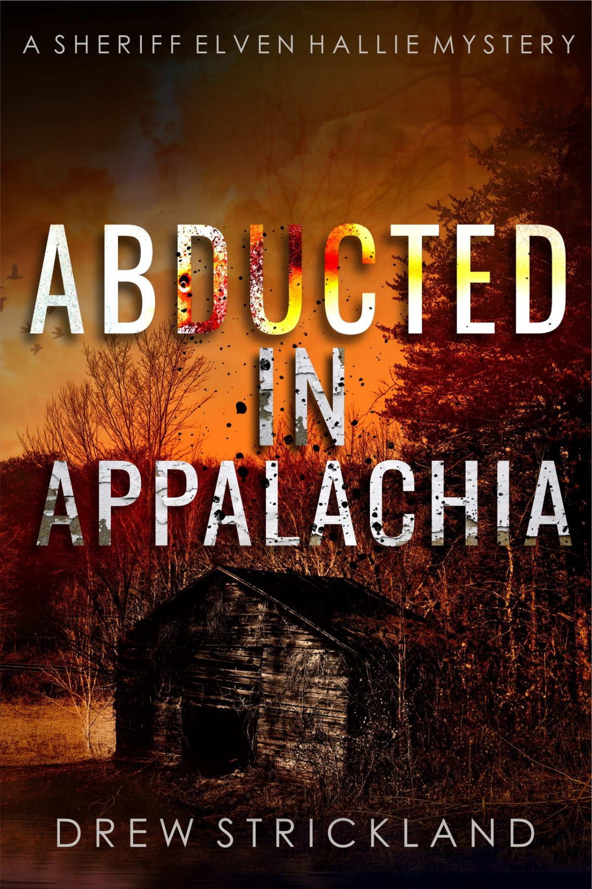 Abducted In Appalachia A Sheriff Elven Hallie Mystery Book 4 Strickland