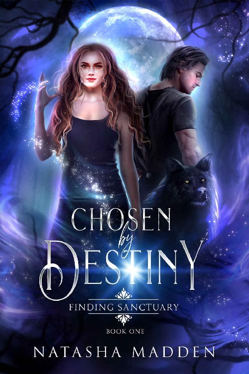 Chosen By Destiny Natasha Madden