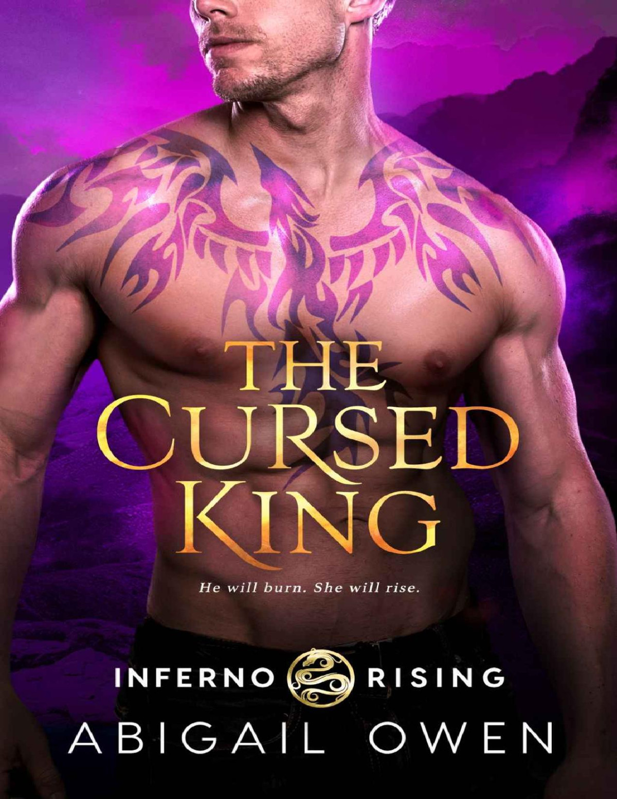 The Cursed King Abigail Owen