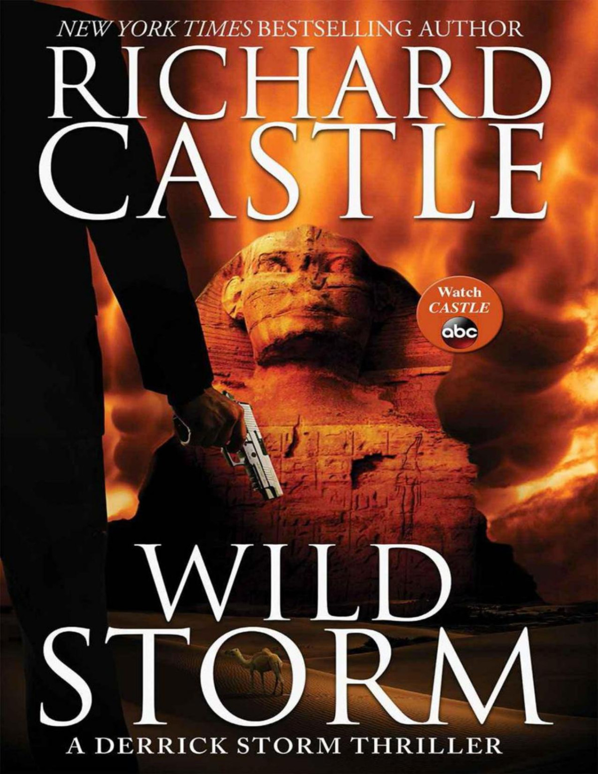 Wild Storm A Derrick Storm Thriller Richard Castle