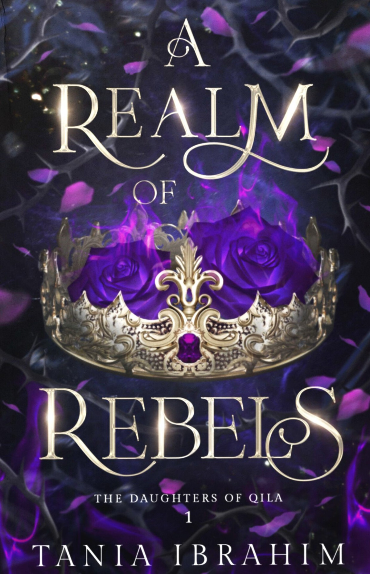 A Realm Of Rebels The Daughters Of Qila Trilogy Book 1 Tania Ibrahim