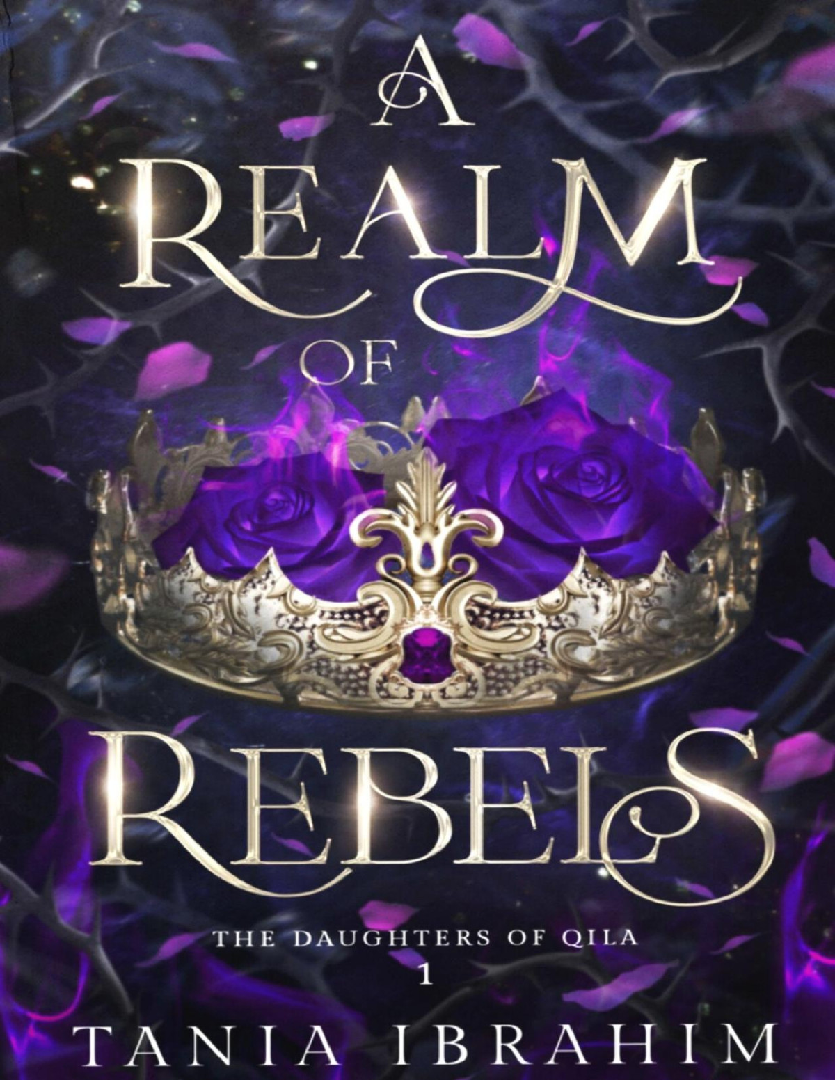 A Realm Of Rebels The Daughters Of Qila Trilogy Book 1 Tania Ibrahim
