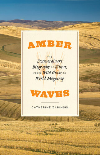 Amber Waves The Extraordinary Biography Of Wheat From Wild Grass To World Megacrop Catherine Zabinski