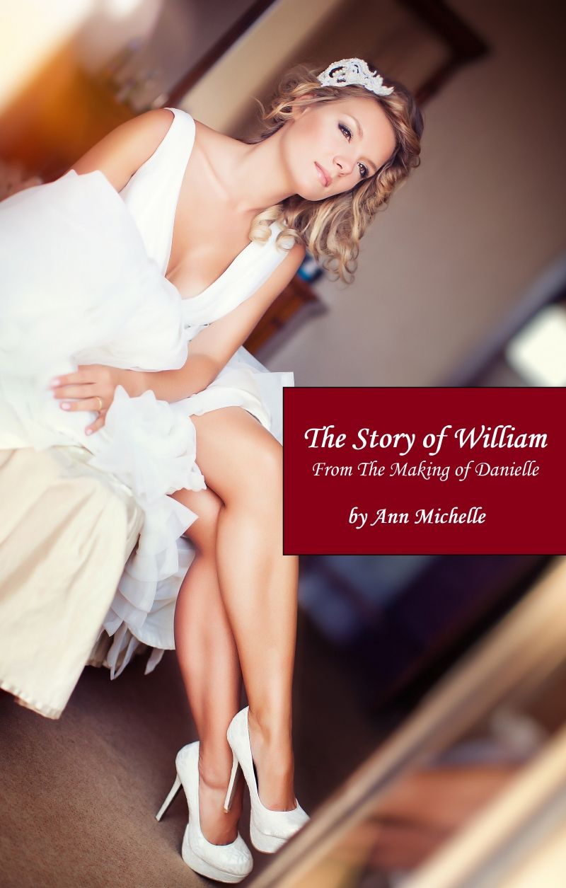 The Story Of William From The Making Of Danielle Ann Michelle