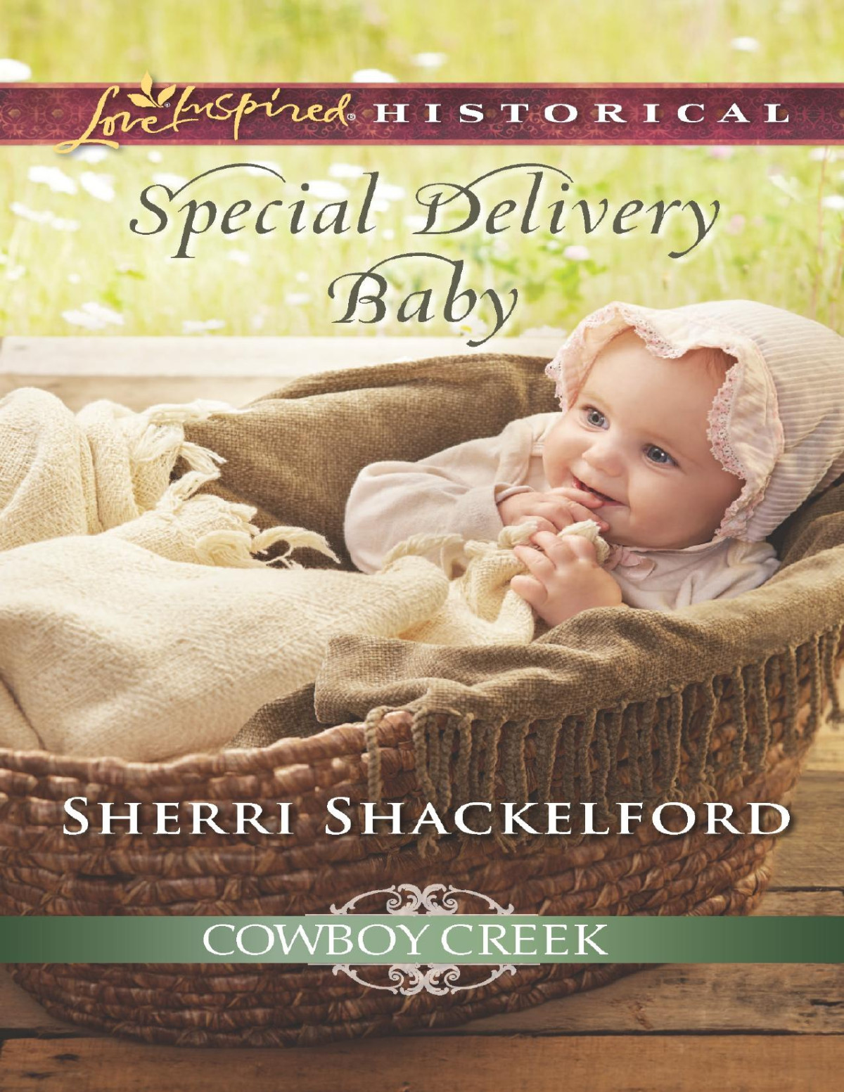 Special Delivery Baby Sherri Shackelford