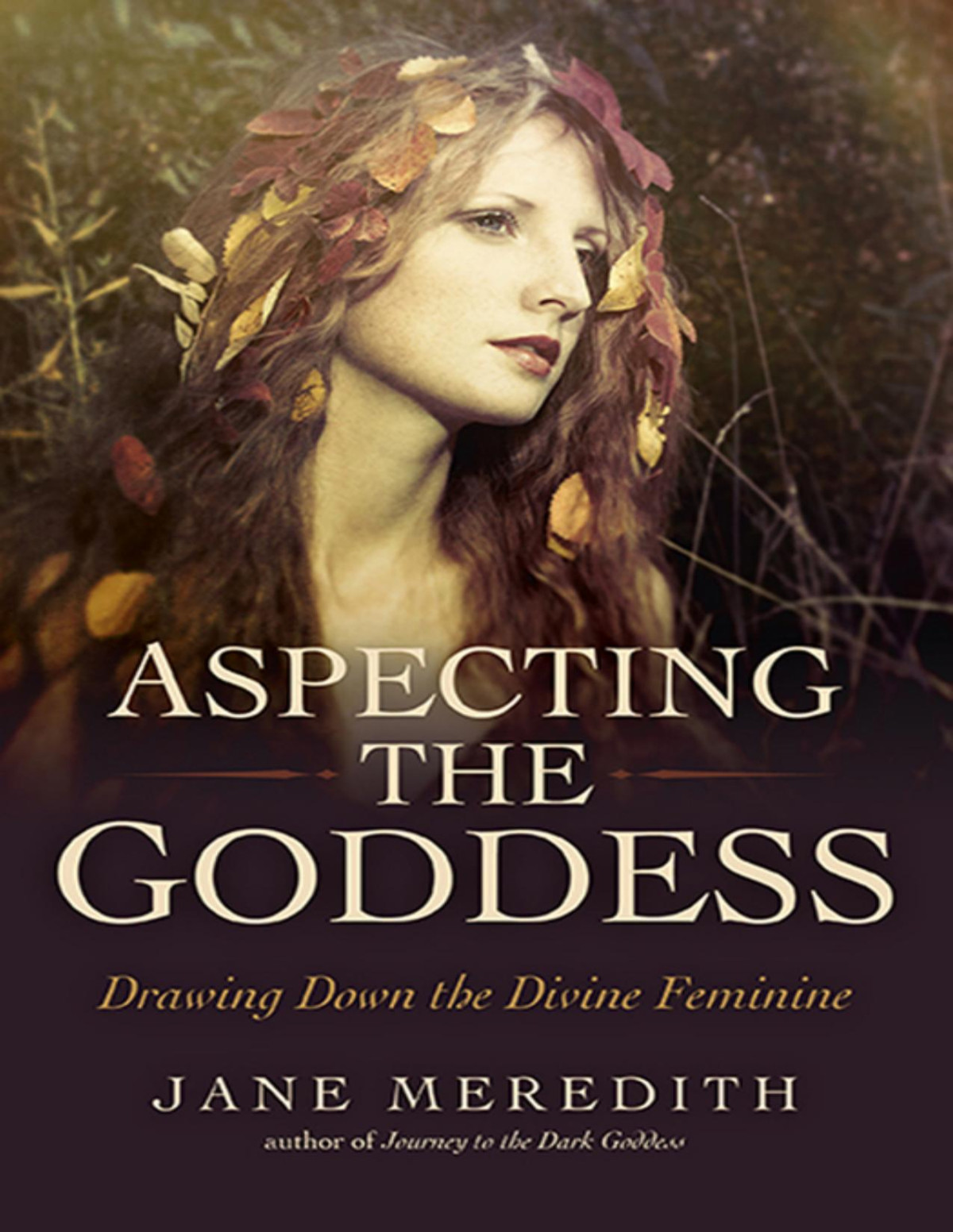 Aspecting The Goddess Jane Meredith