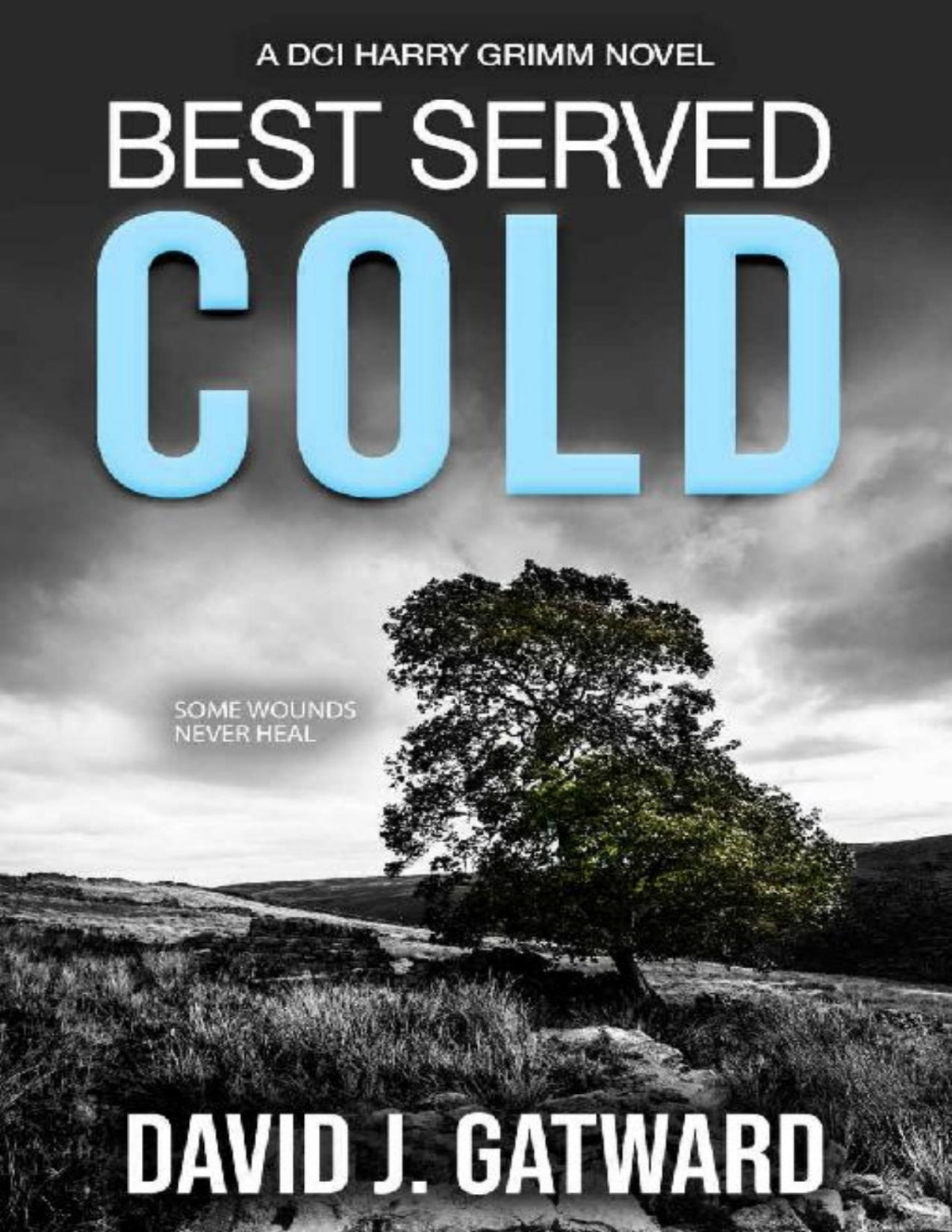 Best Served Cold A Dci Harry Grimm Novel David J Gatward