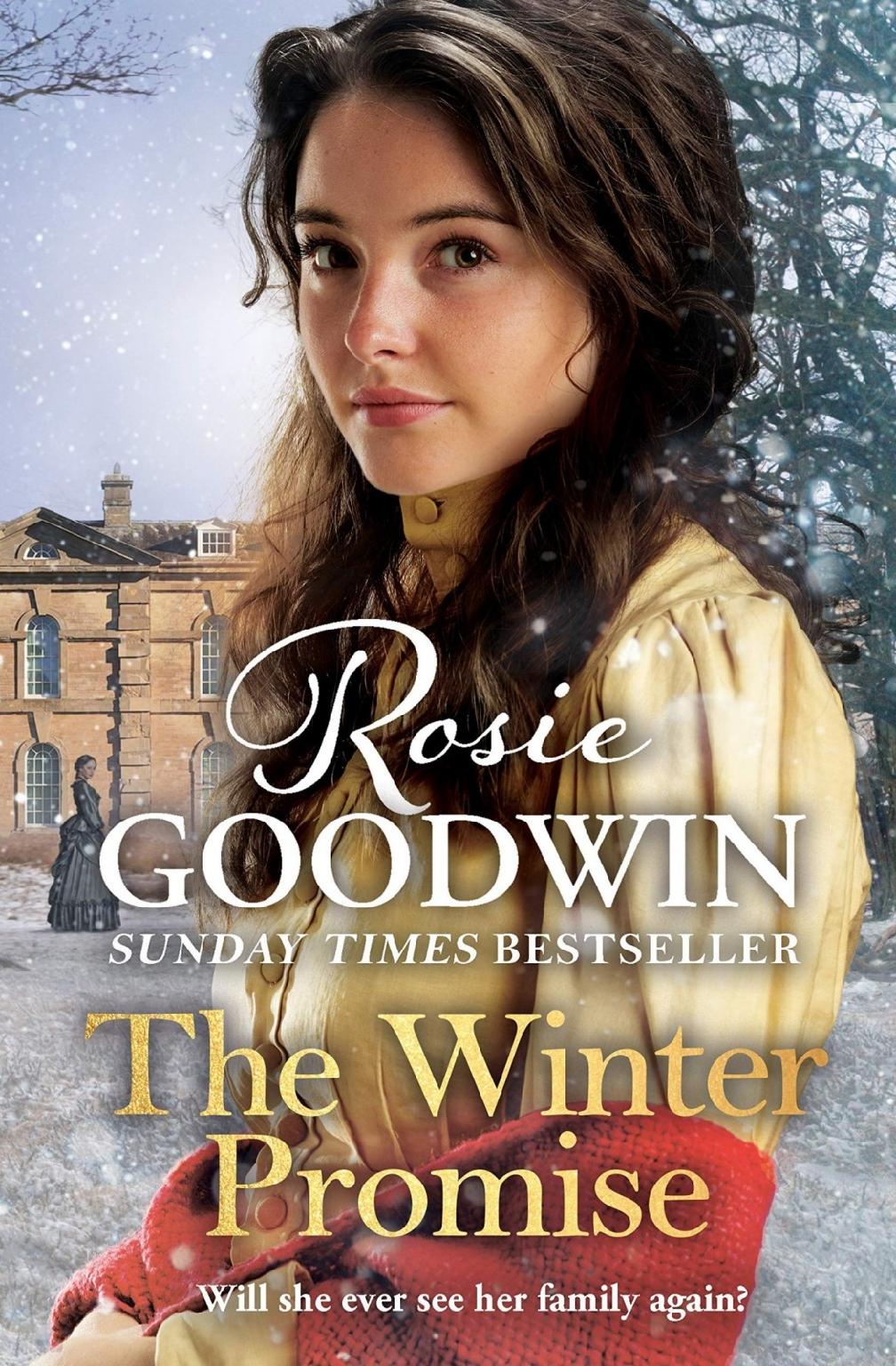 The Winter Promise Precious Stones 1 1st Edition Rosie Goodwin
