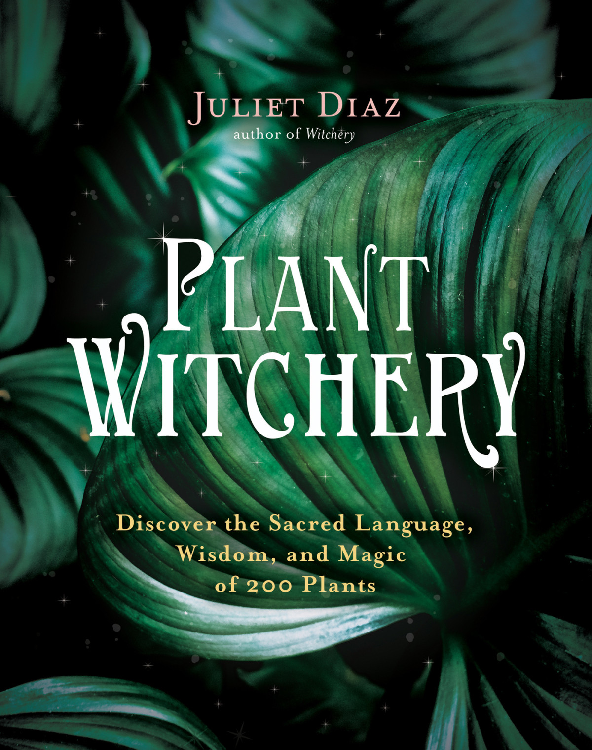 Plant Witchery Discover The Sacred Language Wisdom And Magic Of 200 Plants Juliet Diaz