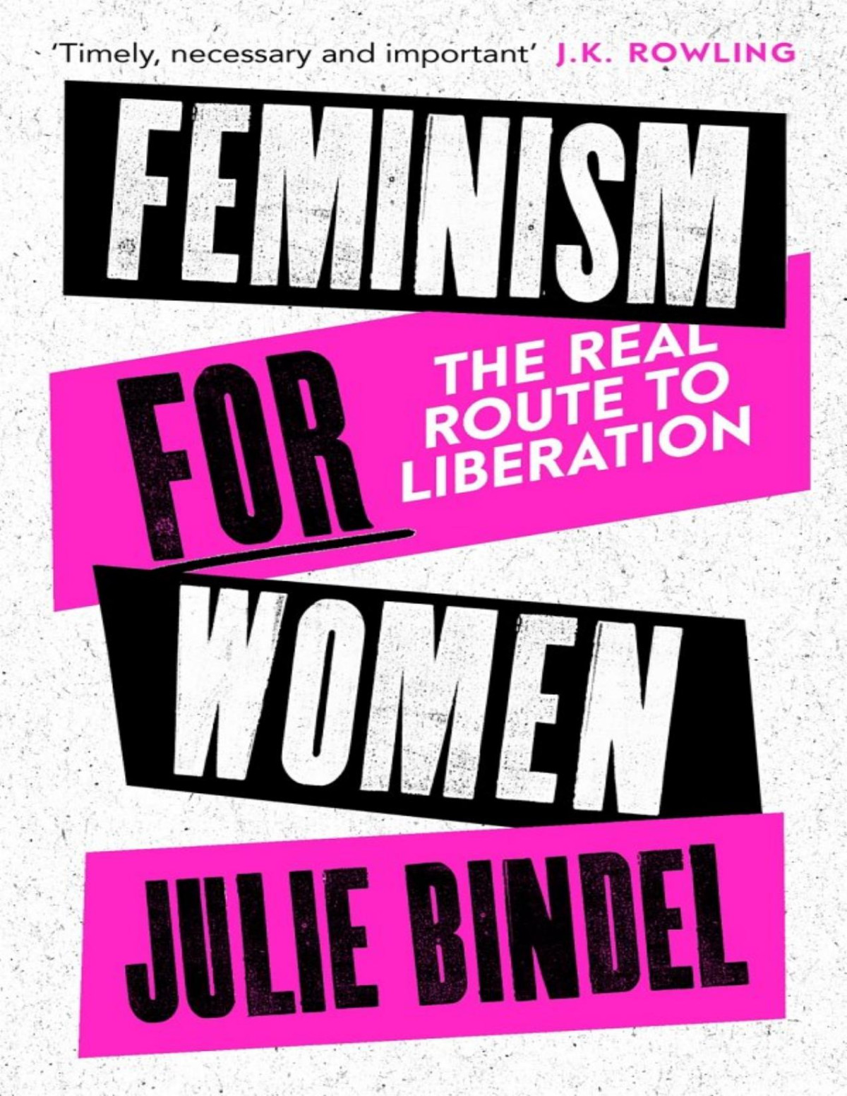 Feminism For Women The Real Route To Liberation Julie Bindel