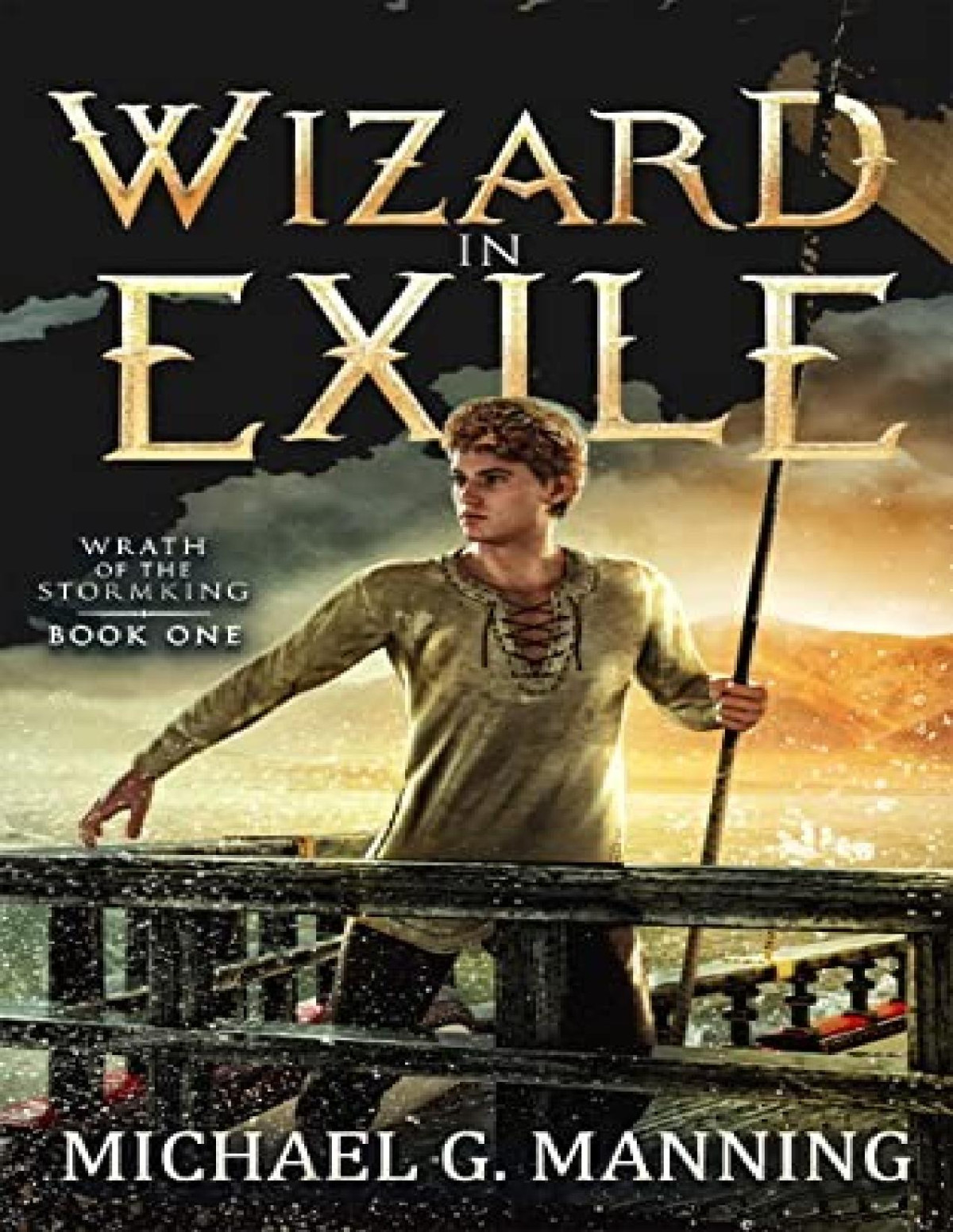 Wizard In Exile Michael G Manning