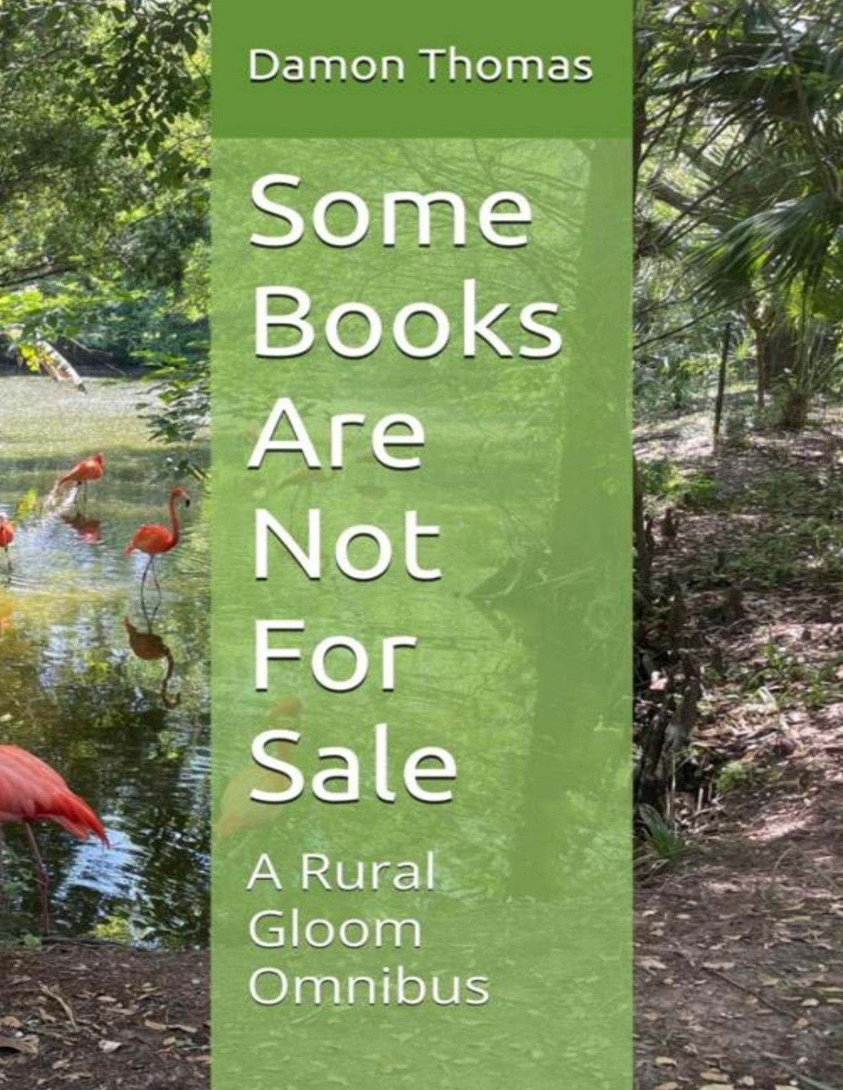 Some Books Are Not For Sale Damon Thomas