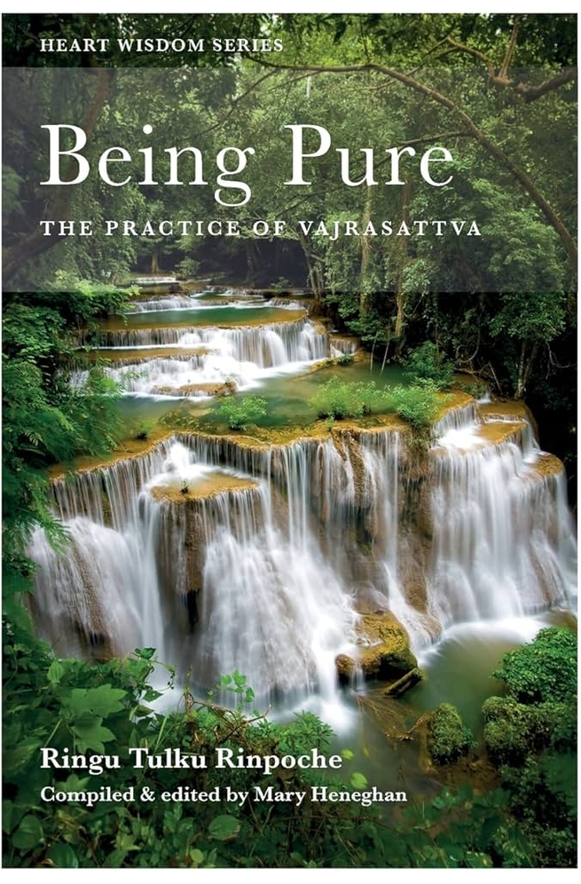 Being Pure The Practice Of Vajrasattva Ringu Tulku Rinpoche
