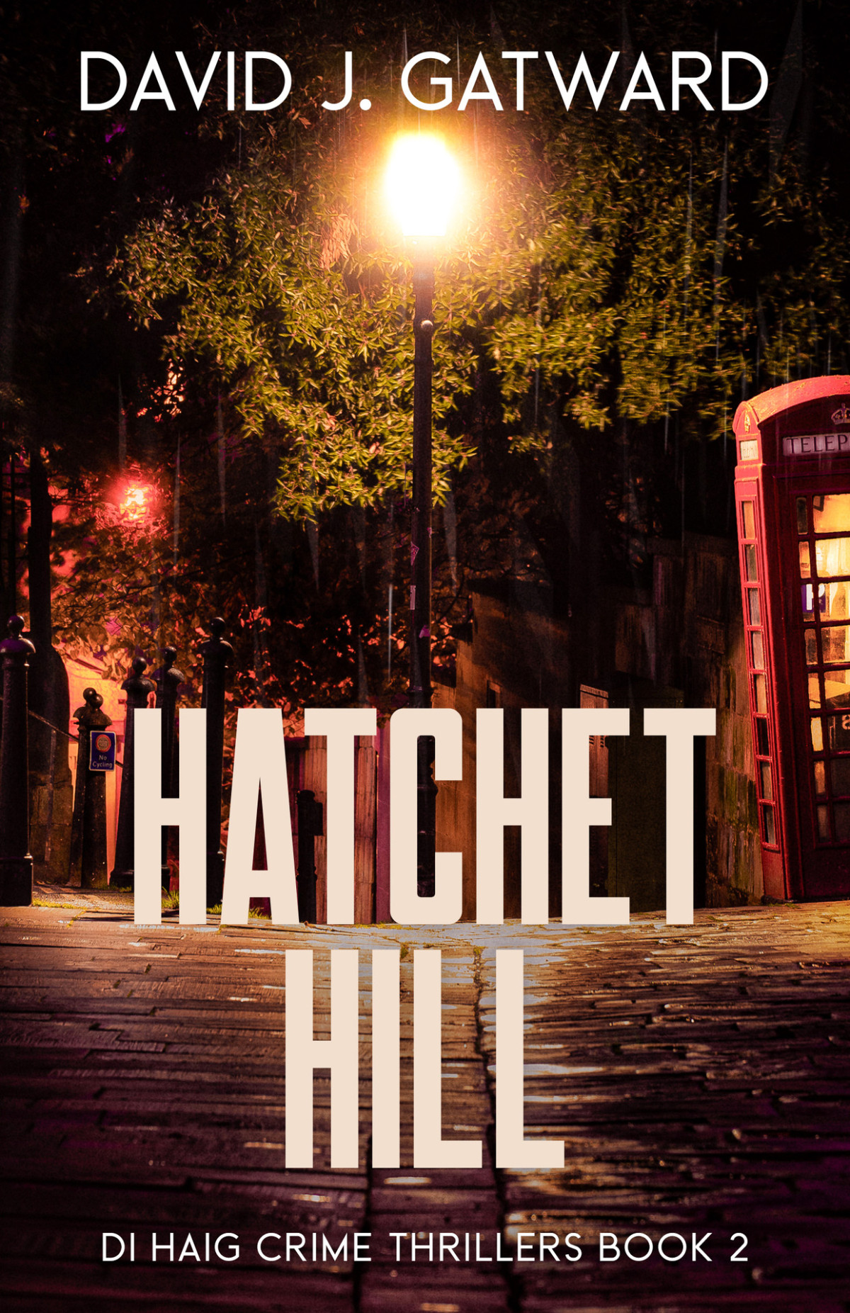 Hatchet Hill 1st Edition David J Gatward