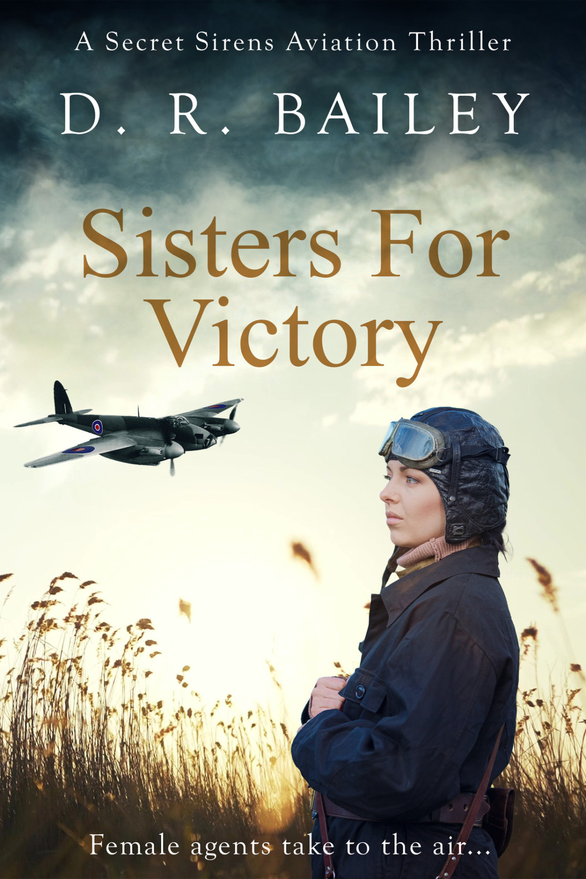 Sisters For Victory Female Agents Take To The Air Secret Sirens Aviation Thrillers Book 1 D R Bailey