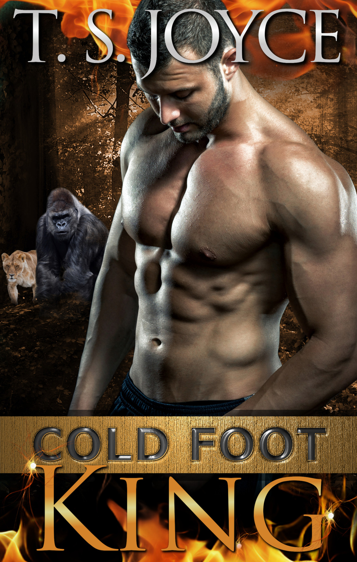 Cold Foot King Wrecks Mountains Book 1 T S Joyce
