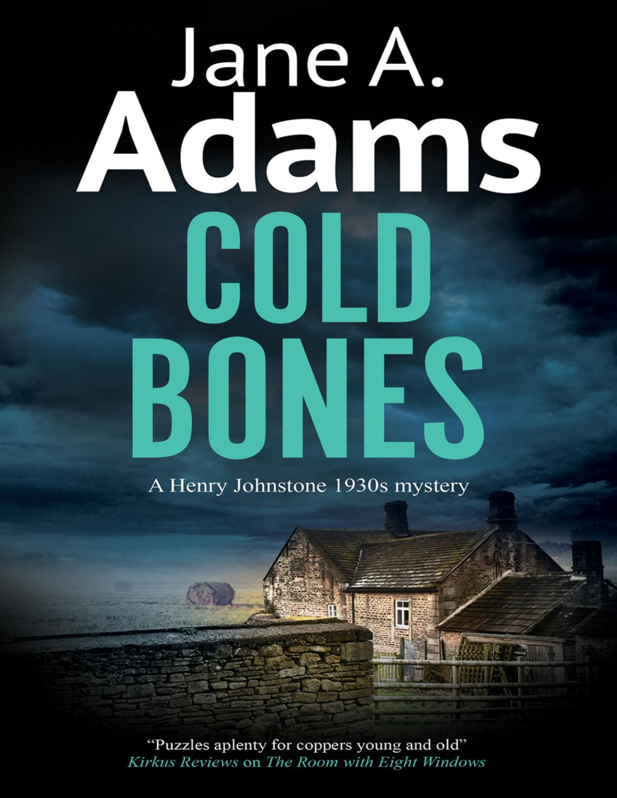 Cold Bones Jane A Adams