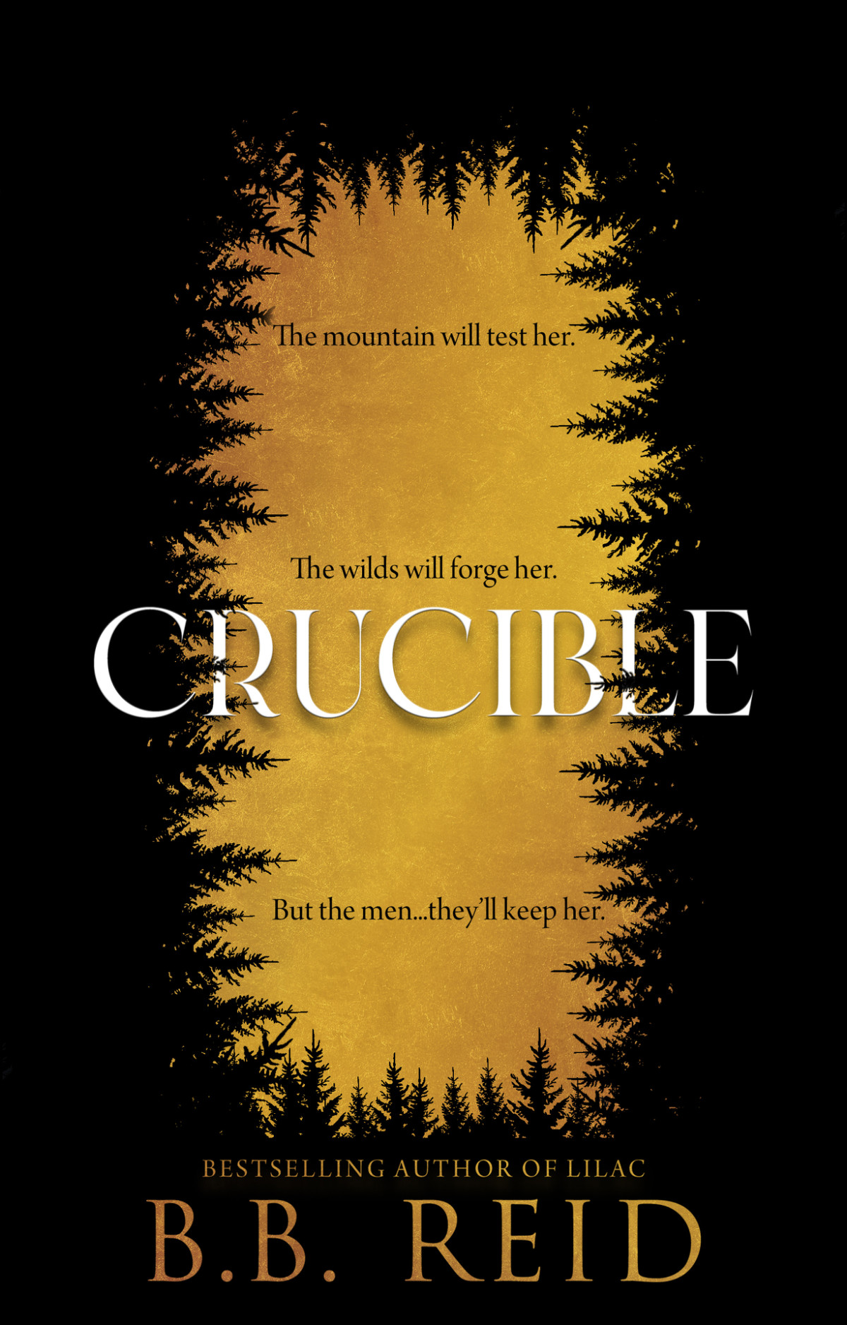 Crucible A Dark Enemiestolovers Romance Bb Reid
