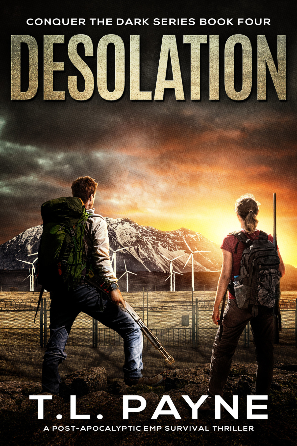 Desolation A Postapocalyptic Emp Survival Thriller Conquer The Dark Series Book 4 T L Payne