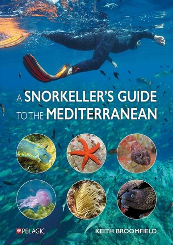 A Snorkellers Guide To The Mediterranean A Photographic Id Guide To The Most Commonly Encountered Marine Species Broomfield