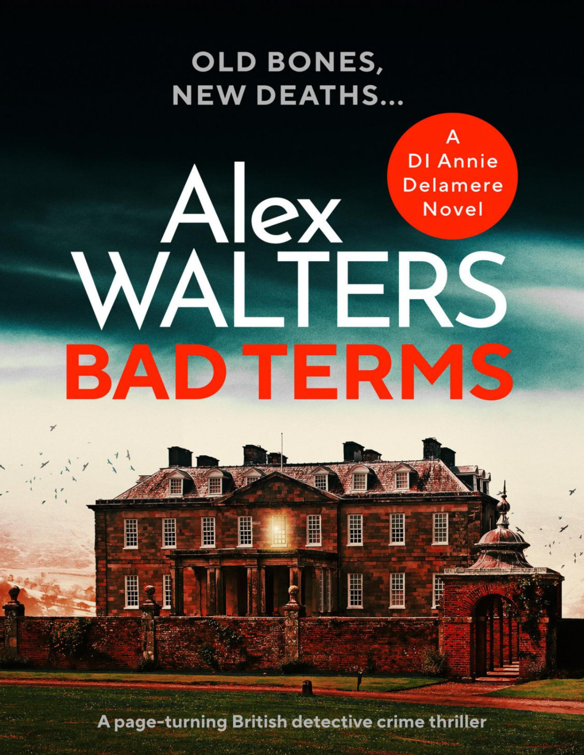 Bad Terms Alex Walters