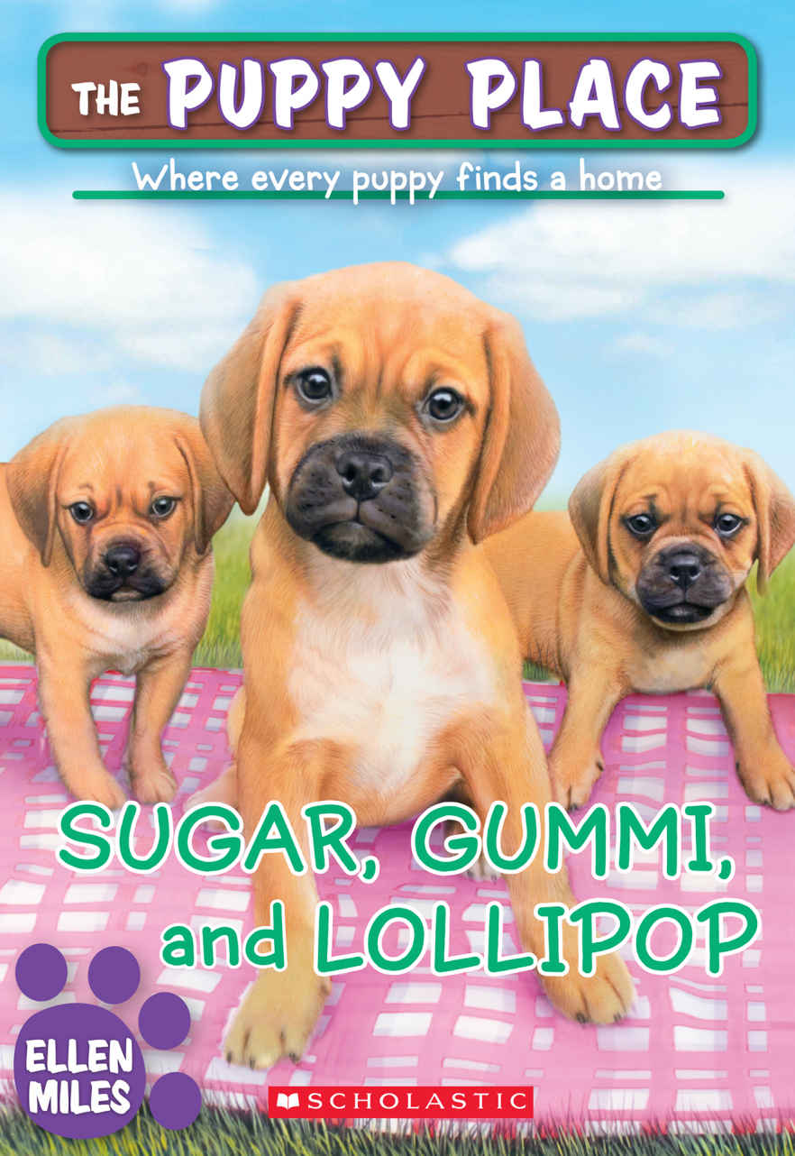 The Puppy Place 40 Sugar Gummi And Lollipop Miles Ellen