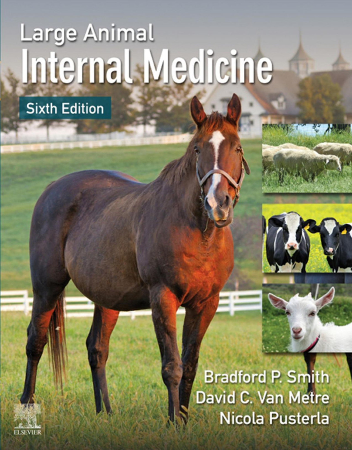 Large Animal Internal Medicine 6th Edition Bradford P Smith