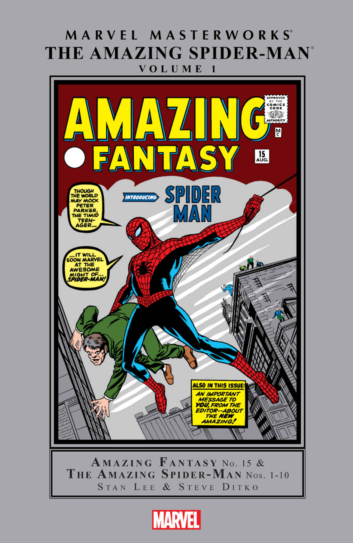 Amazing Spider Amazing Fantasy 15 The Amazing Spiderman Books 110 Lee